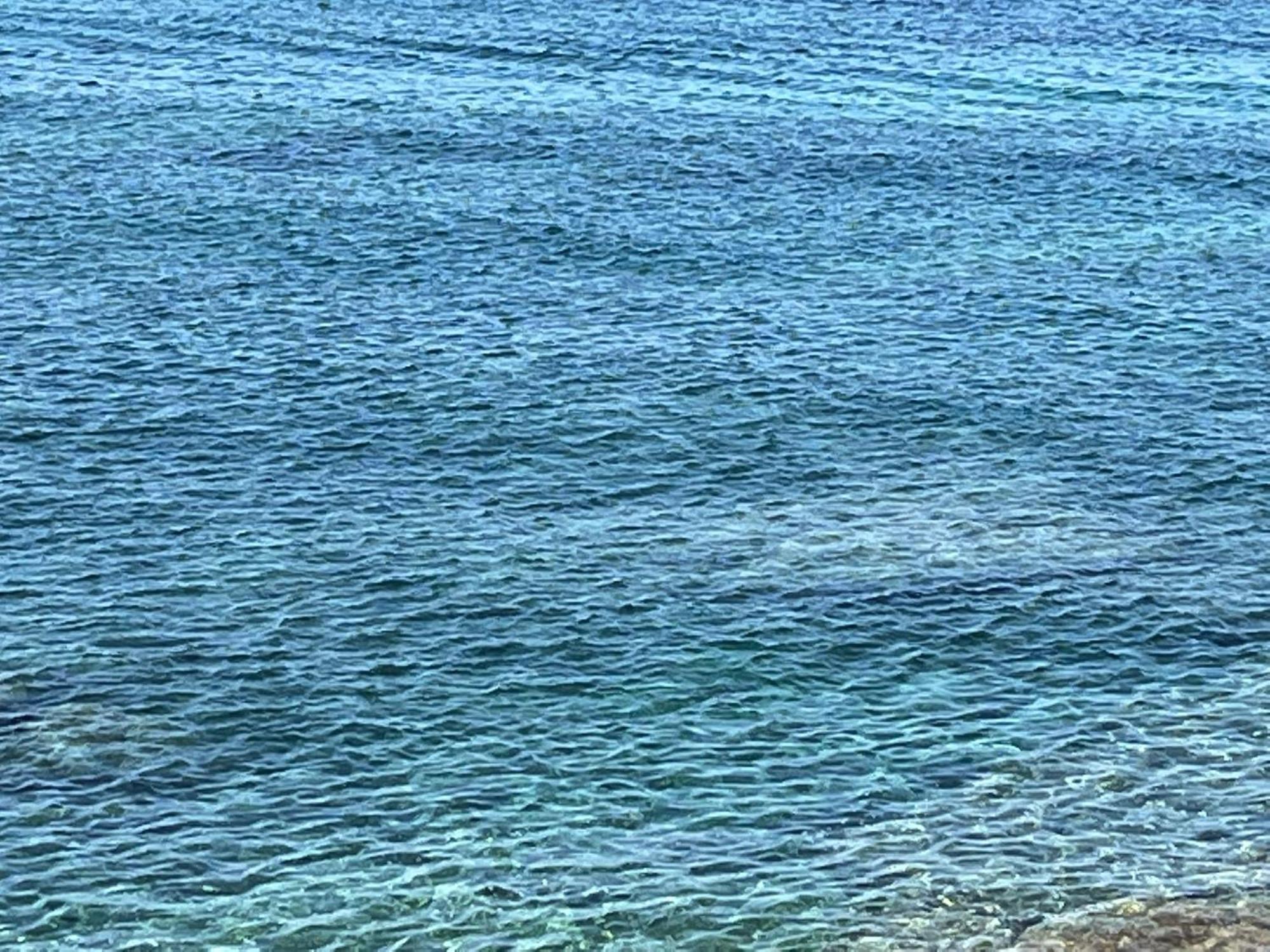 Casa Mare Incantevole Appartement